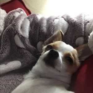 Meet your Posher, Jerry